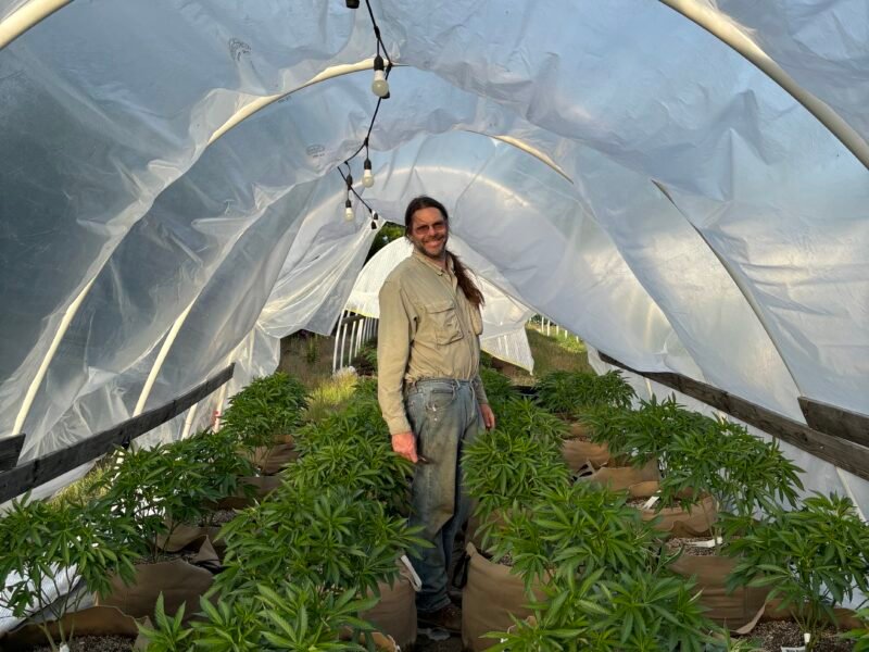 First Cut Farms