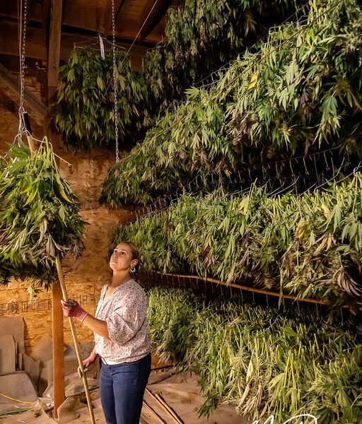 First Cut Farms